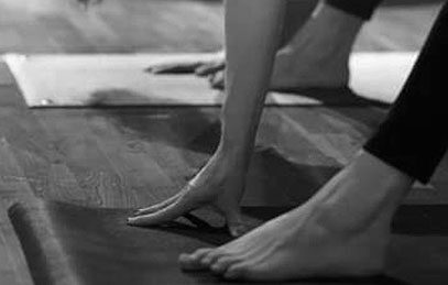 Yoga Anatomi